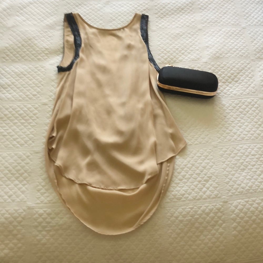 Haute Hippie Taupe Silk Top